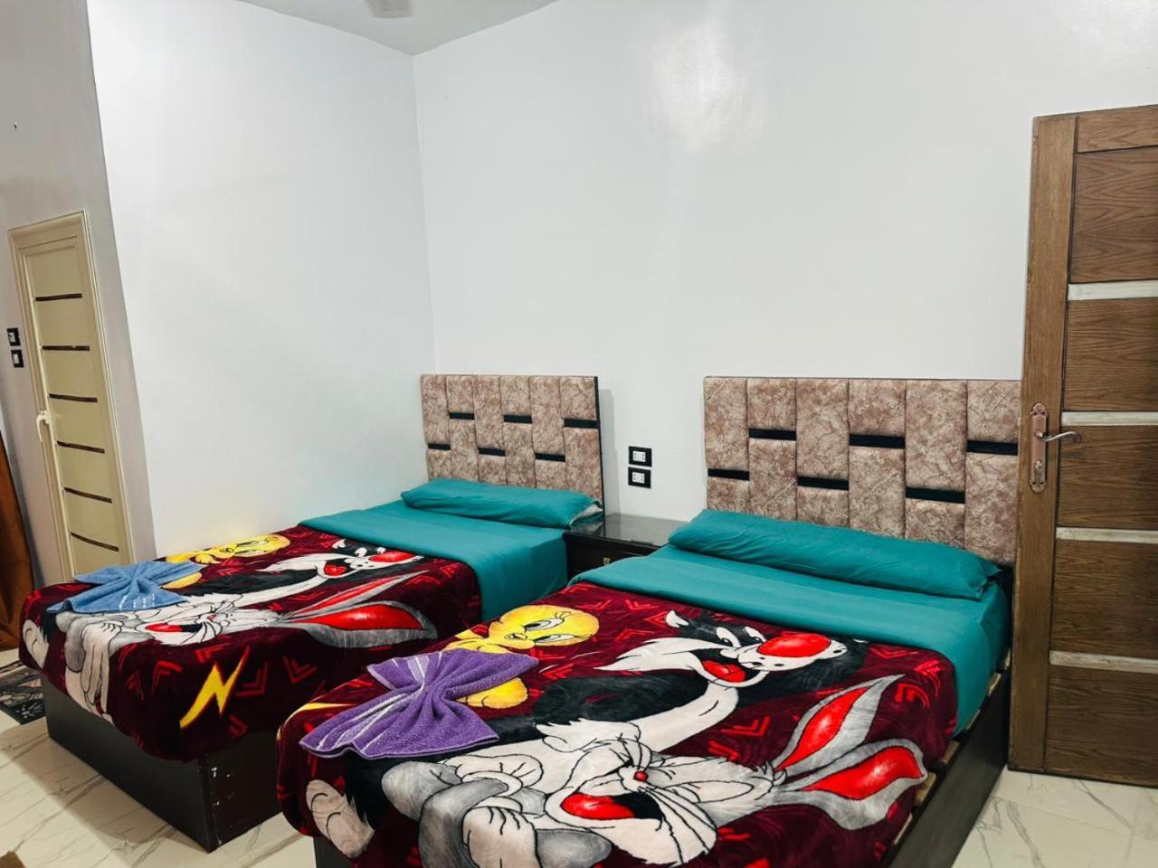 Mostafa Jamaica Guesthouse アスワン 部屋 写真