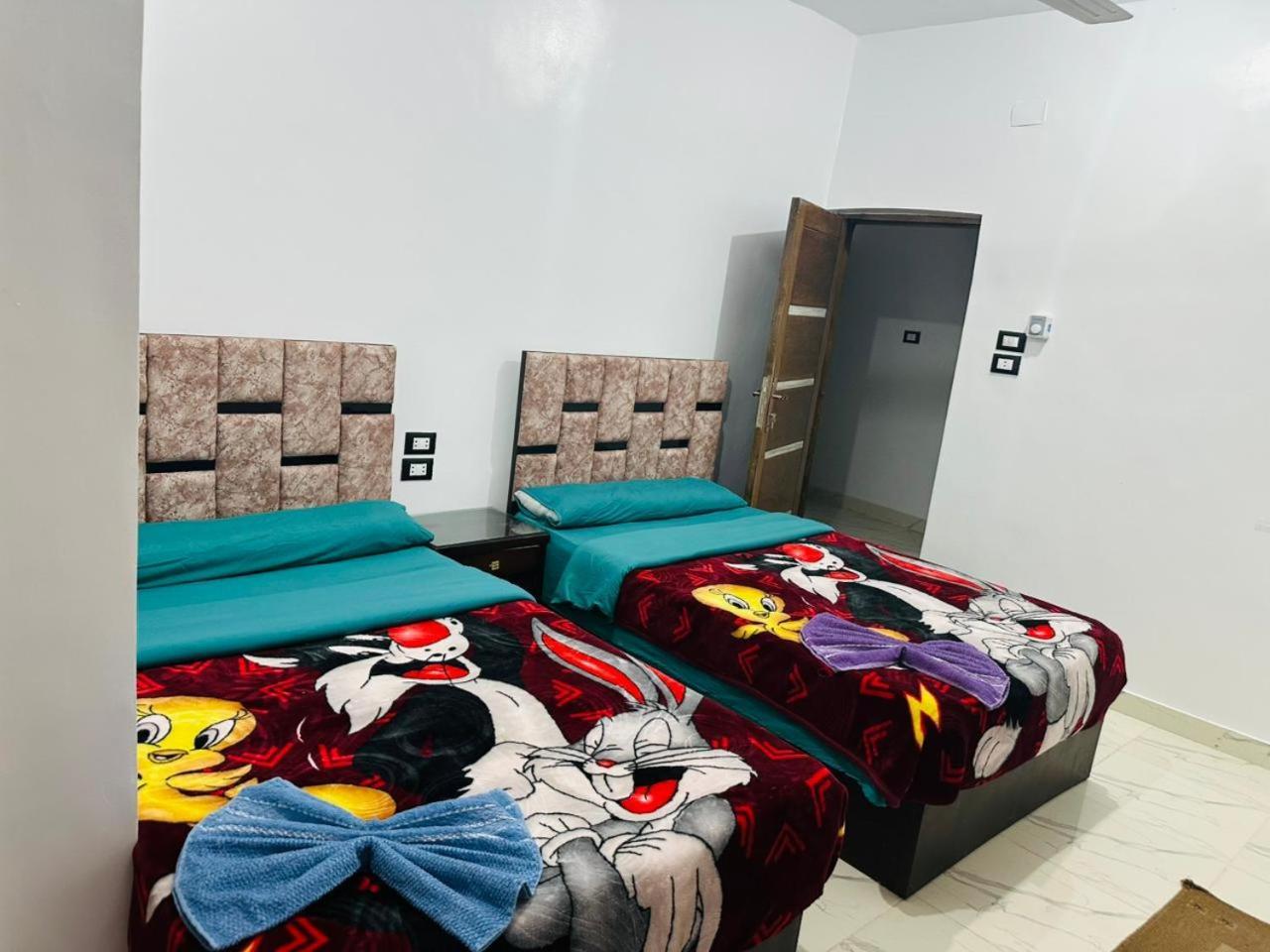 Mostafa Jamaica Guesthouse アスワン 部屋 写真